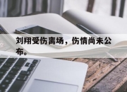 Yabo-刘翔受伤离场，伤情尚未公布。
