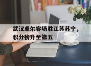 亚博体育app下载体育-武汉卓尔客场胜江苏苏宁，积分榜升至第五