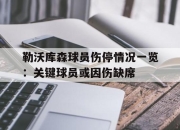 亚博体育app下载-勒沃库森球员伤停情况一览：关键球员或因伤缺席