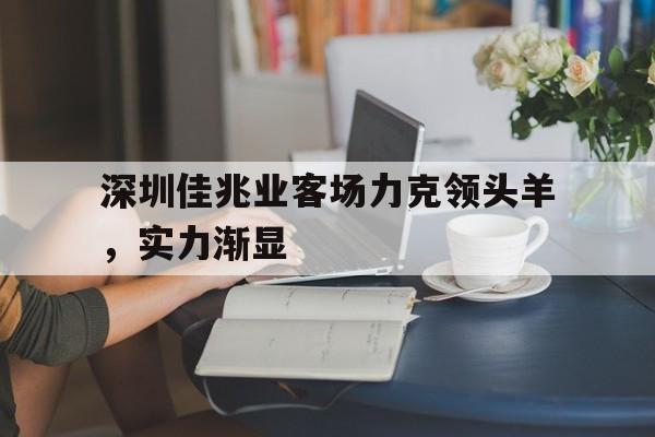 深圳佳兆业客场力克领头羊，实力渐显
